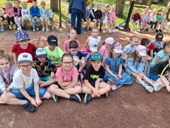 większy obrazek nr 5