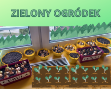 ilustracja do wpisu 
ZIELONY OGRÓDEK