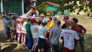 większy obrazek nr 141