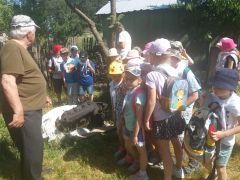 większy obrazek nr 20