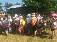 większy obrazek nr 21