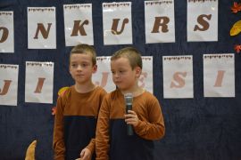 większy obrazek nr 55