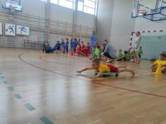 większy obrazek nr 21